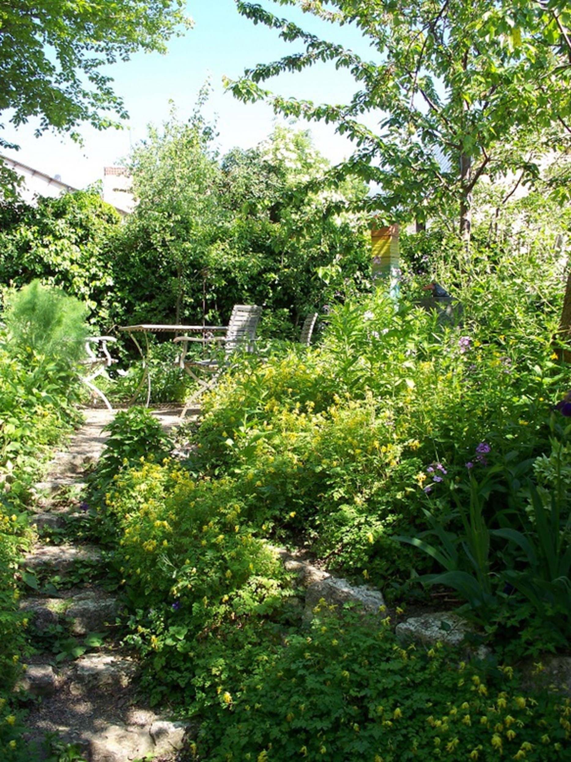Die Gärten und Höfe Gartenführer Rheinhessen