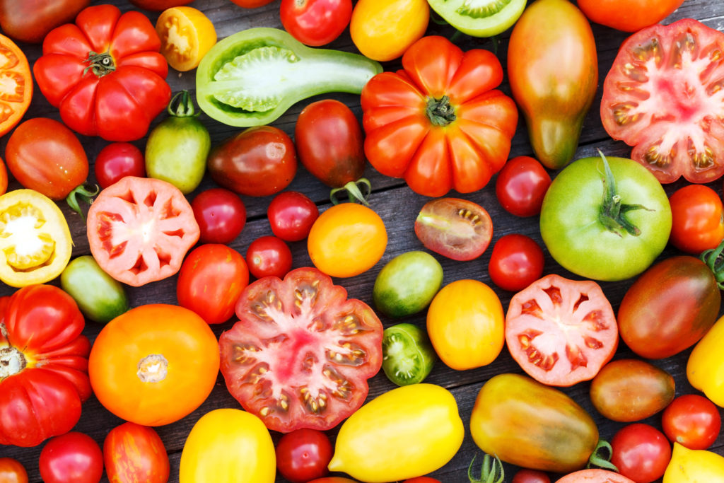 Tomatenvielfalt-1024×683